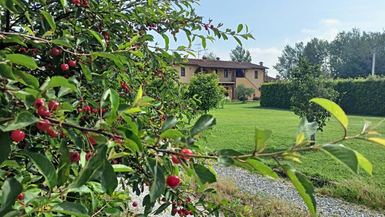 Willa Il Chiassetto Agriturismo No Kids Cascina Zewnętrze zdjęcie