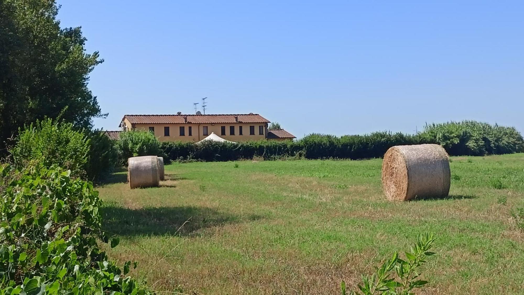 Willa Il Chiassetto Agriturismo No Kids Cascina Zewnętrze zdjęcie