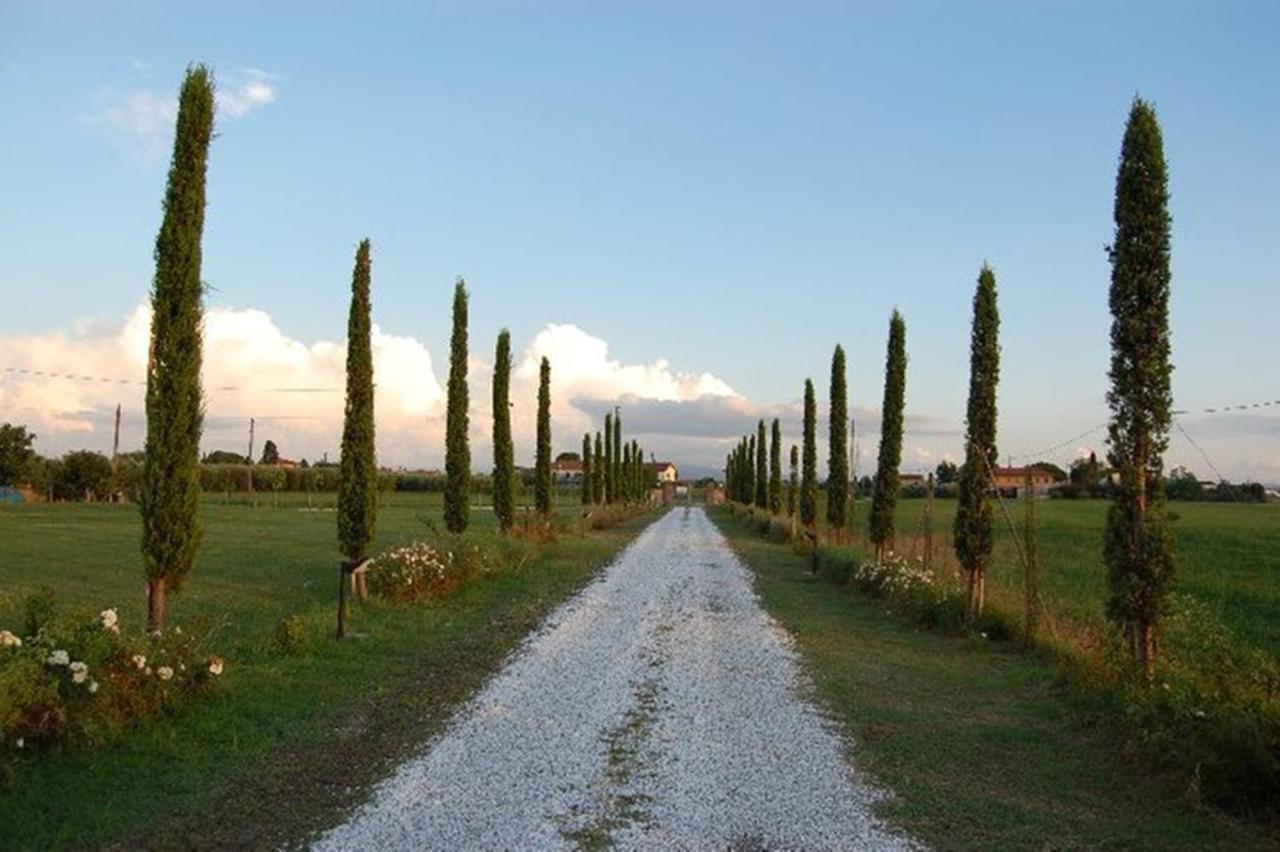 Willa Il Chiassetto Agriturismo No Kids Cascina Zewnętrze zdjęcie